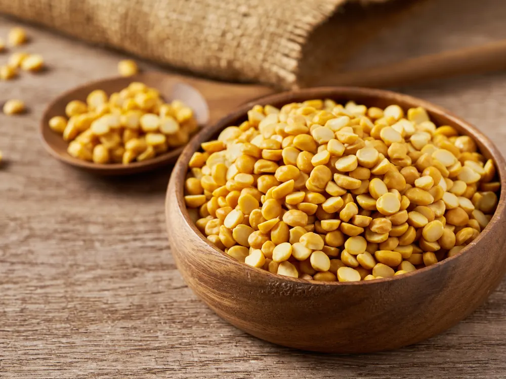 Chana dal processed pulses