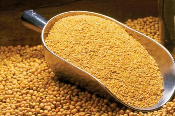 Soya de-oiled cake