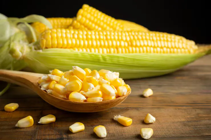 Corn