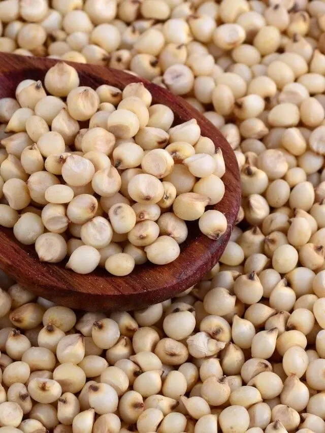 Jowar