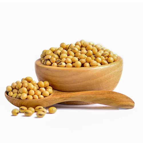 Soyabean